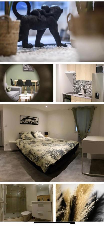 Le Boldieu- Duplex Beziers -Allee Paul Riquet- Wifi- Tv Connecte エクステリア 写真